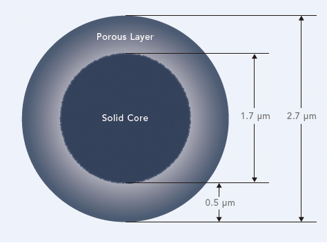 Fused-Core Particle